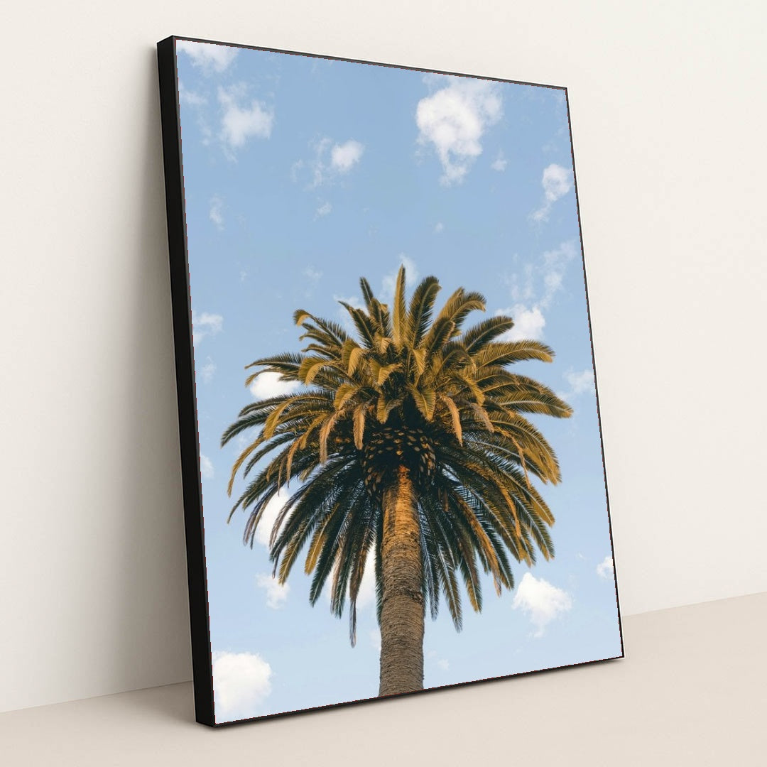 7090233049123 - Product Image