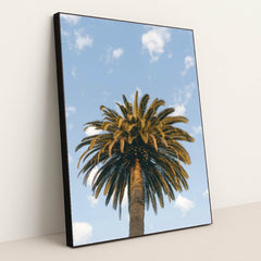 7090233049123 - Product Image