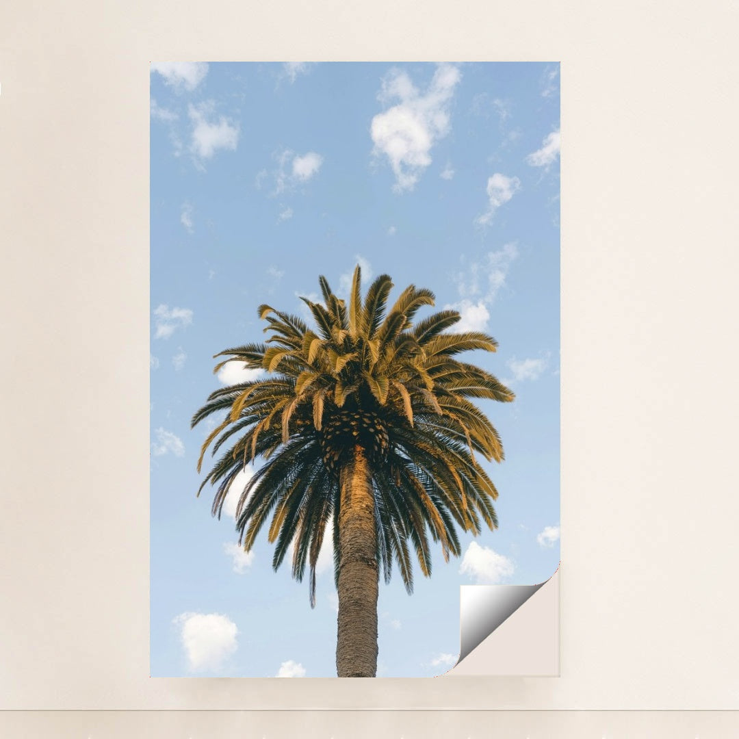 7090233049123 - Product Image