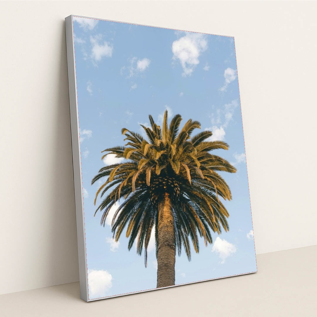 7090233049123 - Product Image