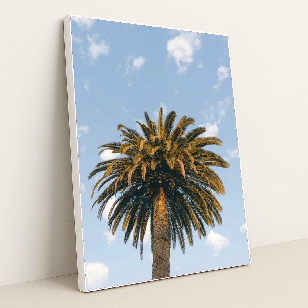 7090233049123 - Product Image