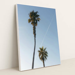 7090351964195 - Product Image