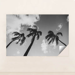 7090468454435 - Product Image