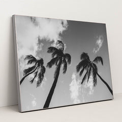 7090468454435 - Product Image