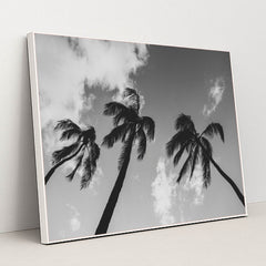 7090468454435 - Product Image