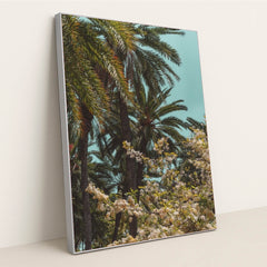 7090298552355 - Product Image