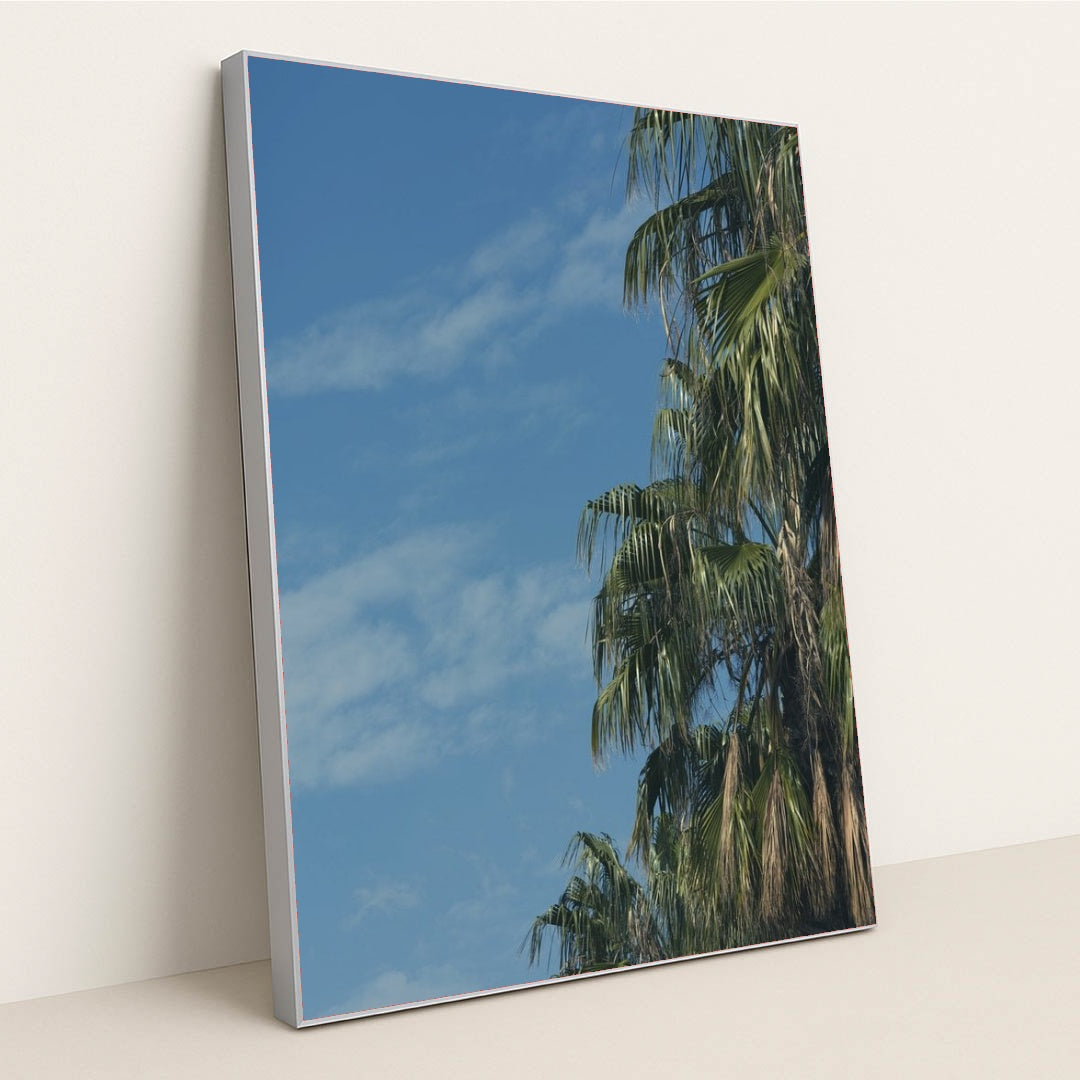 7090249498659 - Product Image