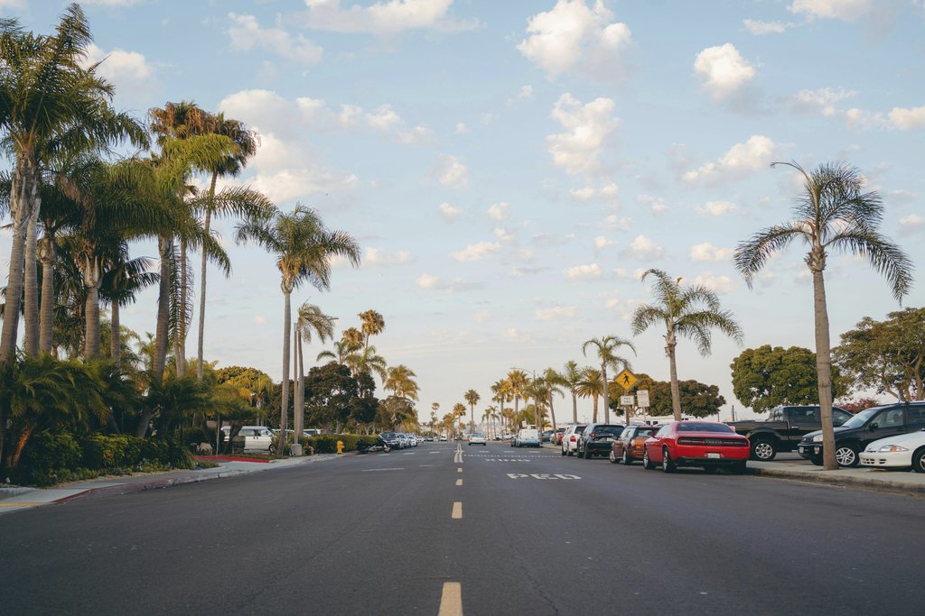 Matt Hardy - Scenic view of a palm-lined street in San Diego with parked cars and a clear sky.