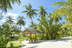 Asad Photo Maldives - A serene tropical scene with palm trees and a rustic hut under a vibrant blue sky.