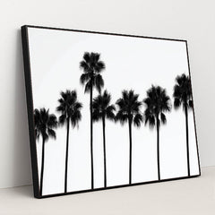 6245 - Product Image