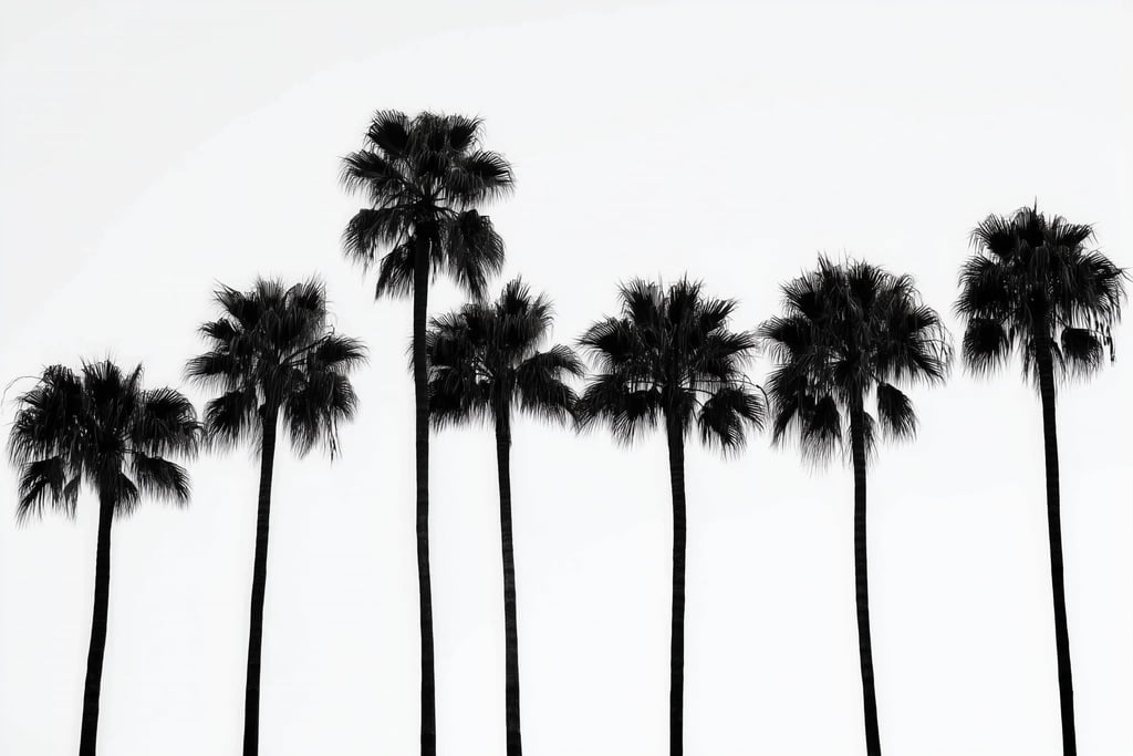 6245 - Product Image