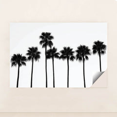 6245 - Product Image