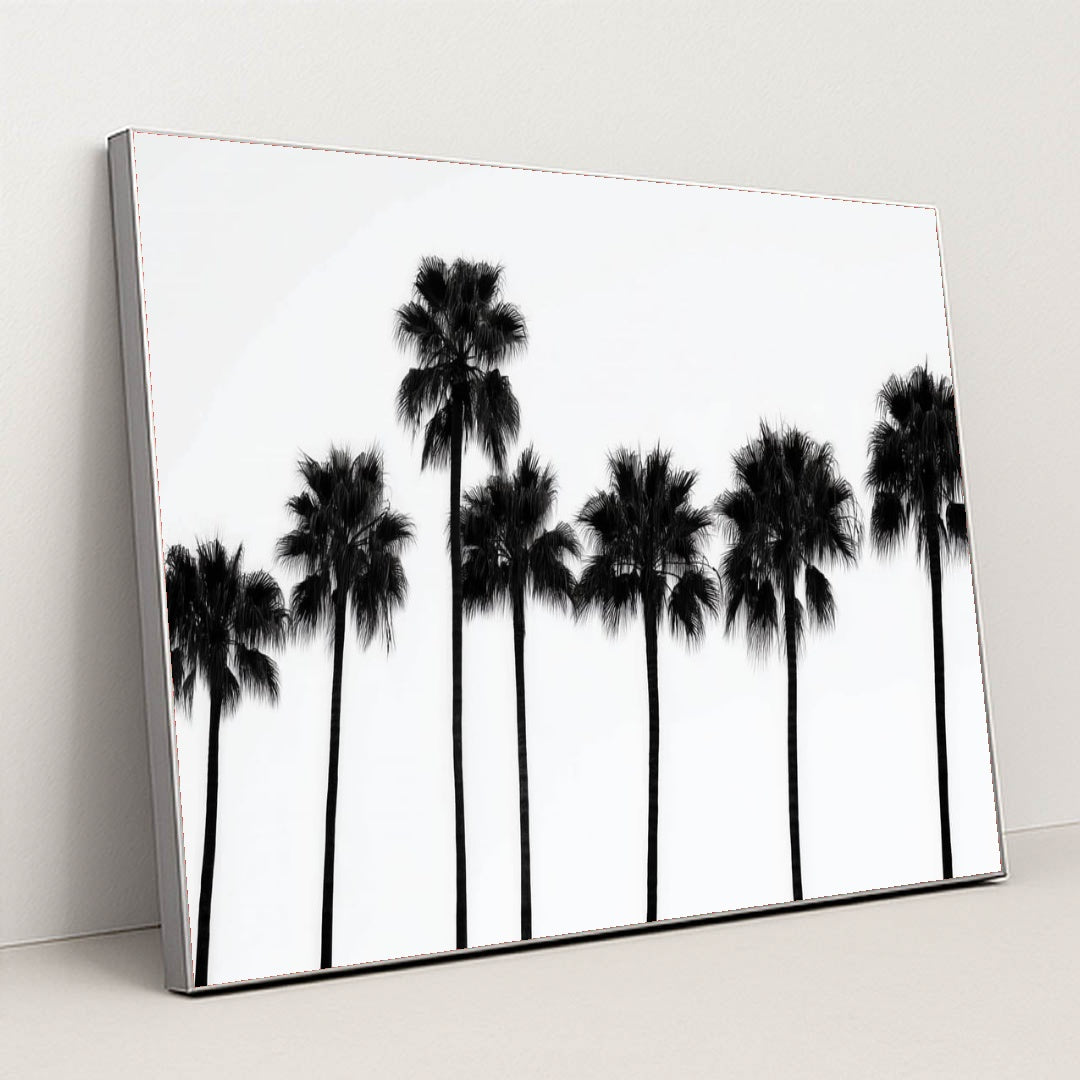 6245 - Product Image