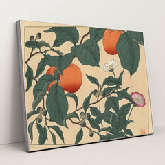 7074627518499 - Product Image