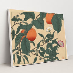 7074627518499 - Product Image