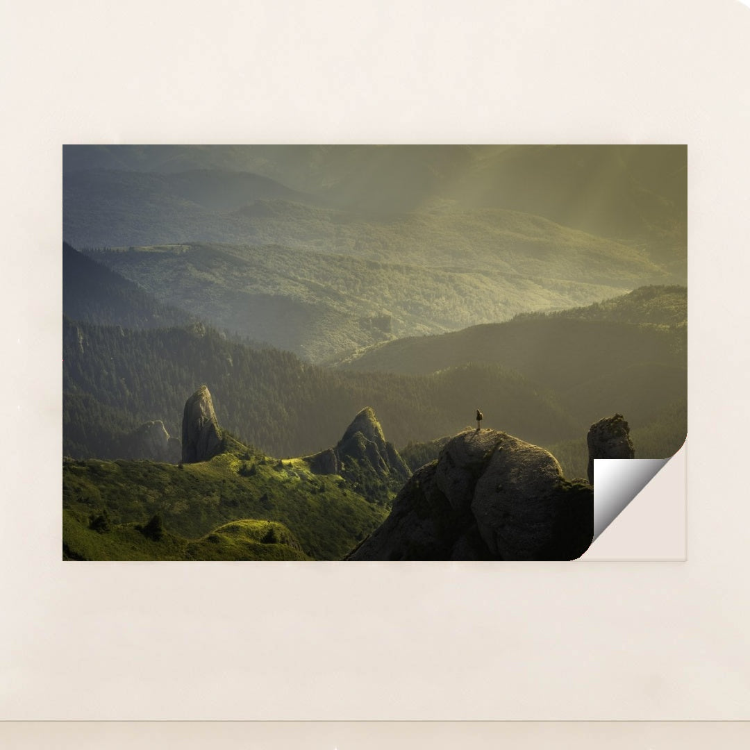 7077673304099 - Product Image