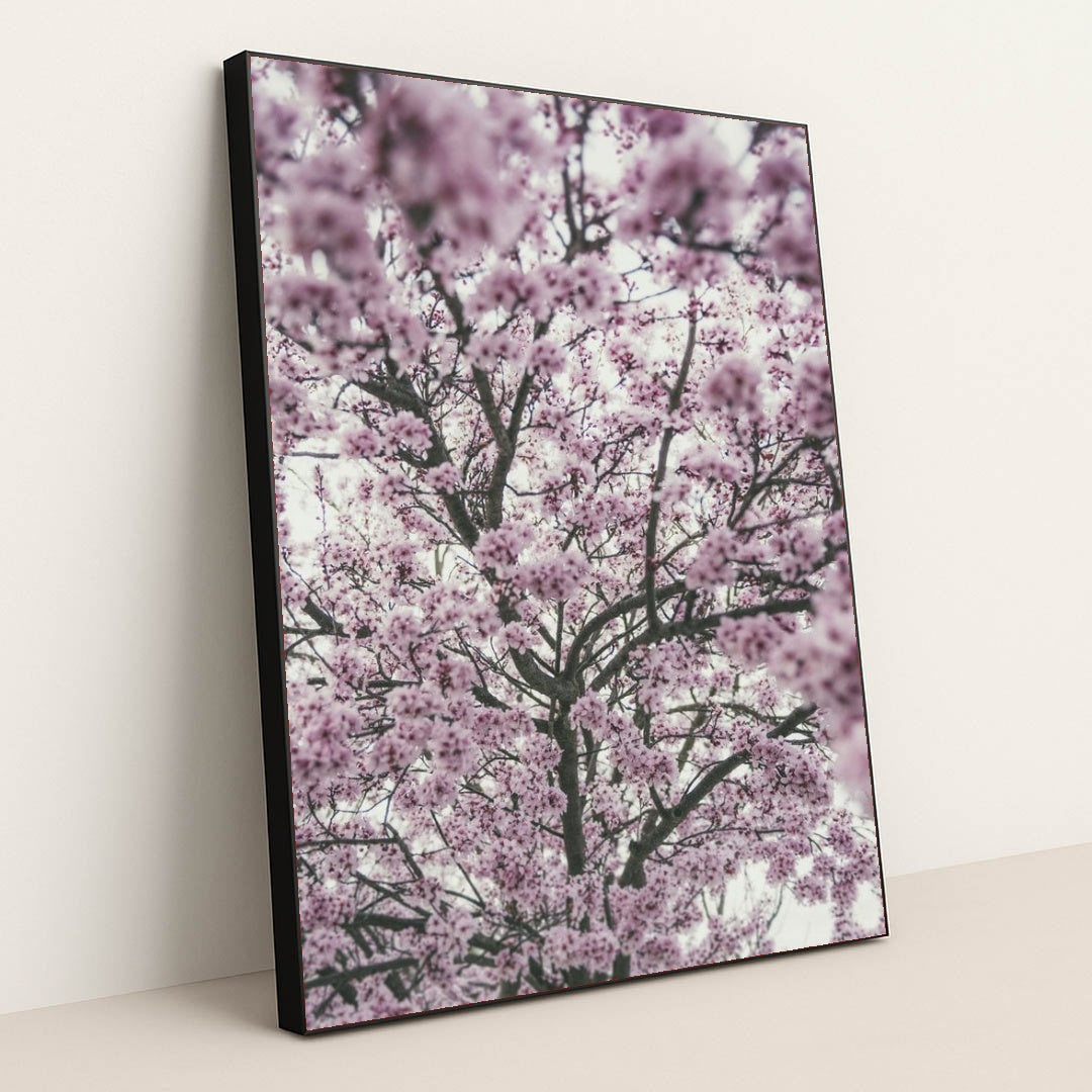 7090340659235 - Product Image