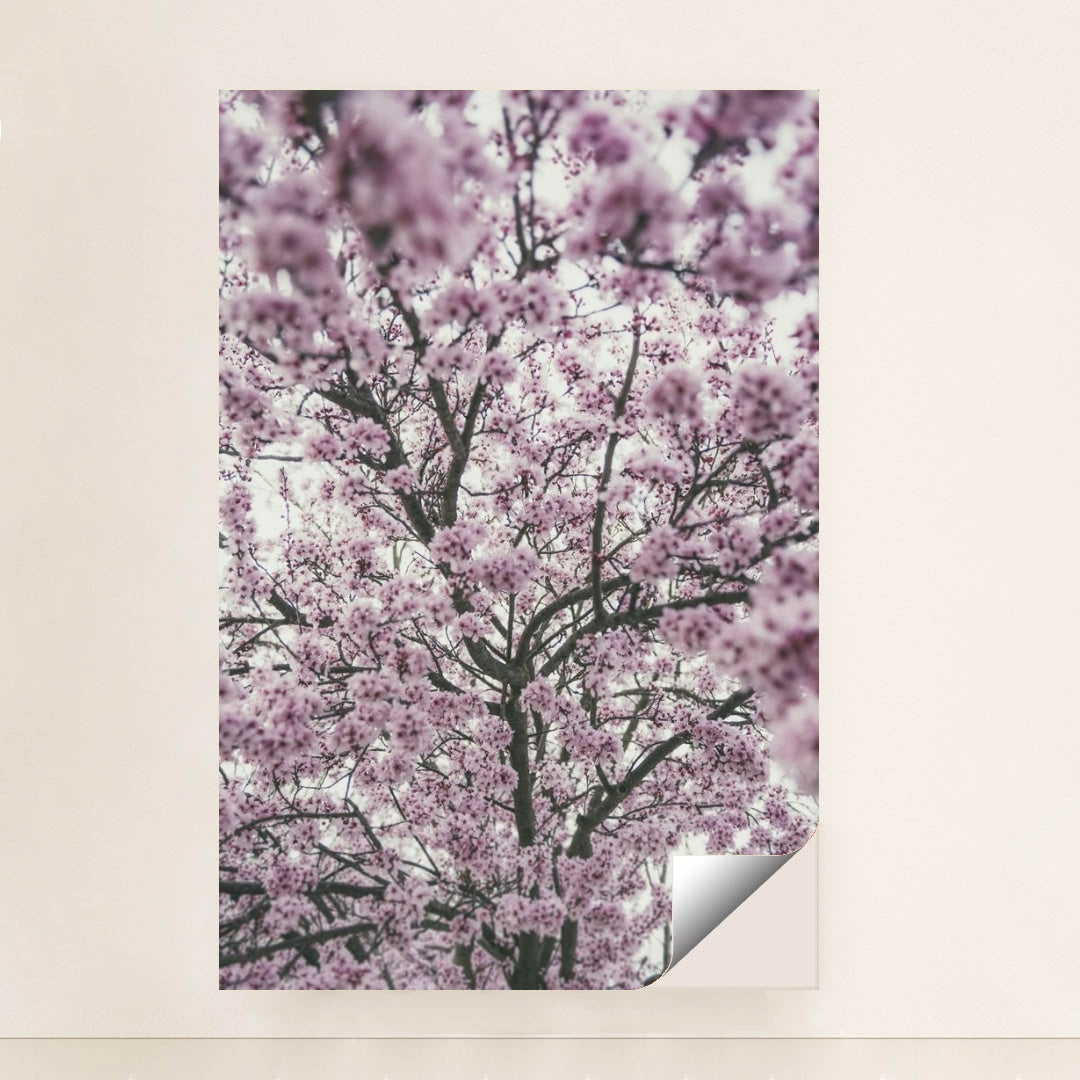 7090340659235 - Product Image