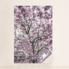 7090340659235 - Product Image