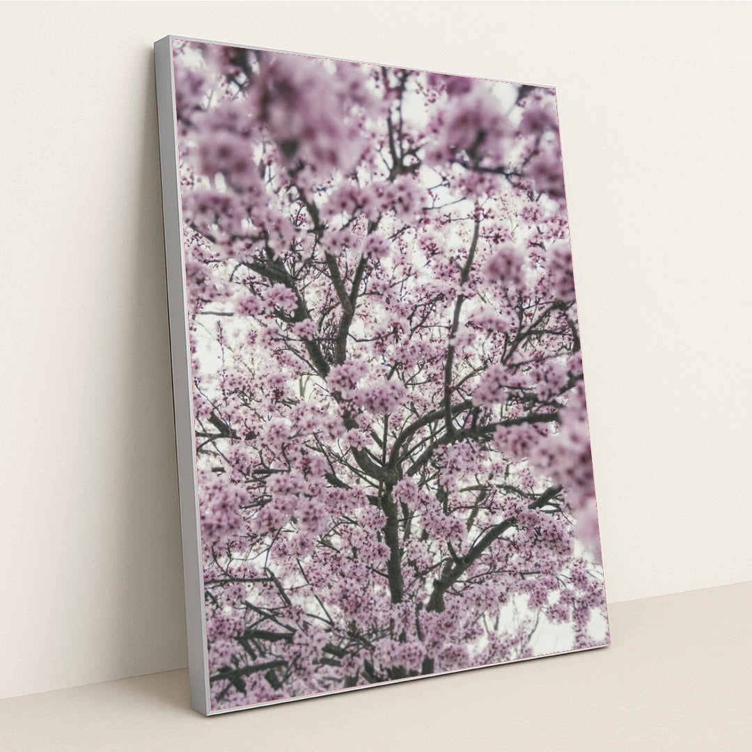 7090340659235 - Product Image