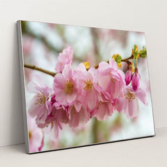 7090346000419 - Product Image