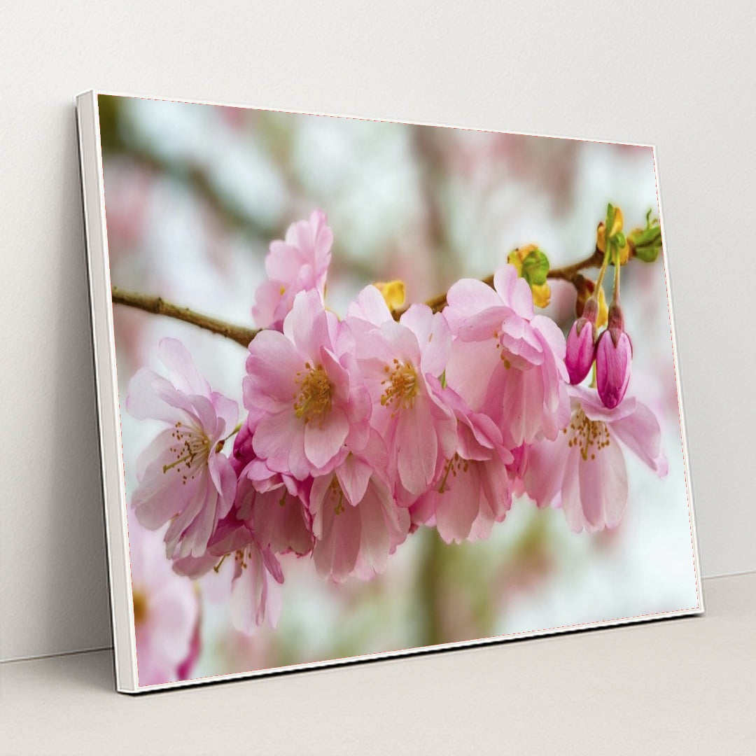 7090346000419 - Product Image