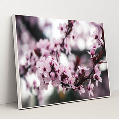 7090346491939 - Product Image