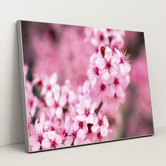 7090355699747 - Product Image