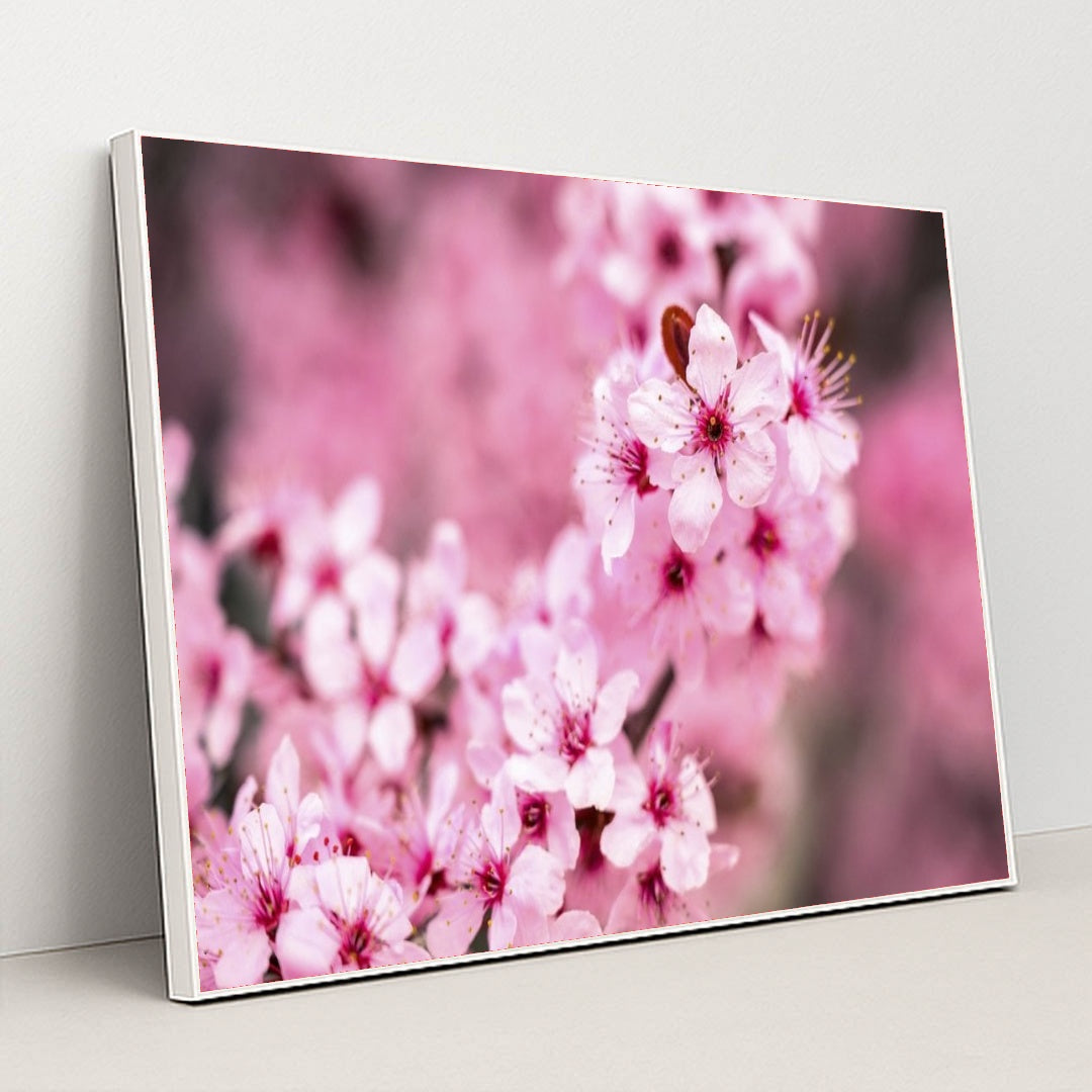 7090355699747 - Product Image