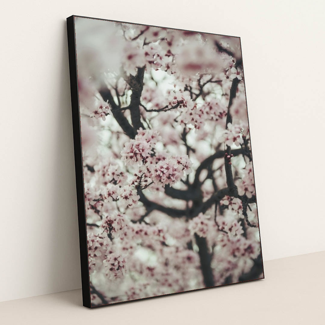 7090327486499 - Product Image