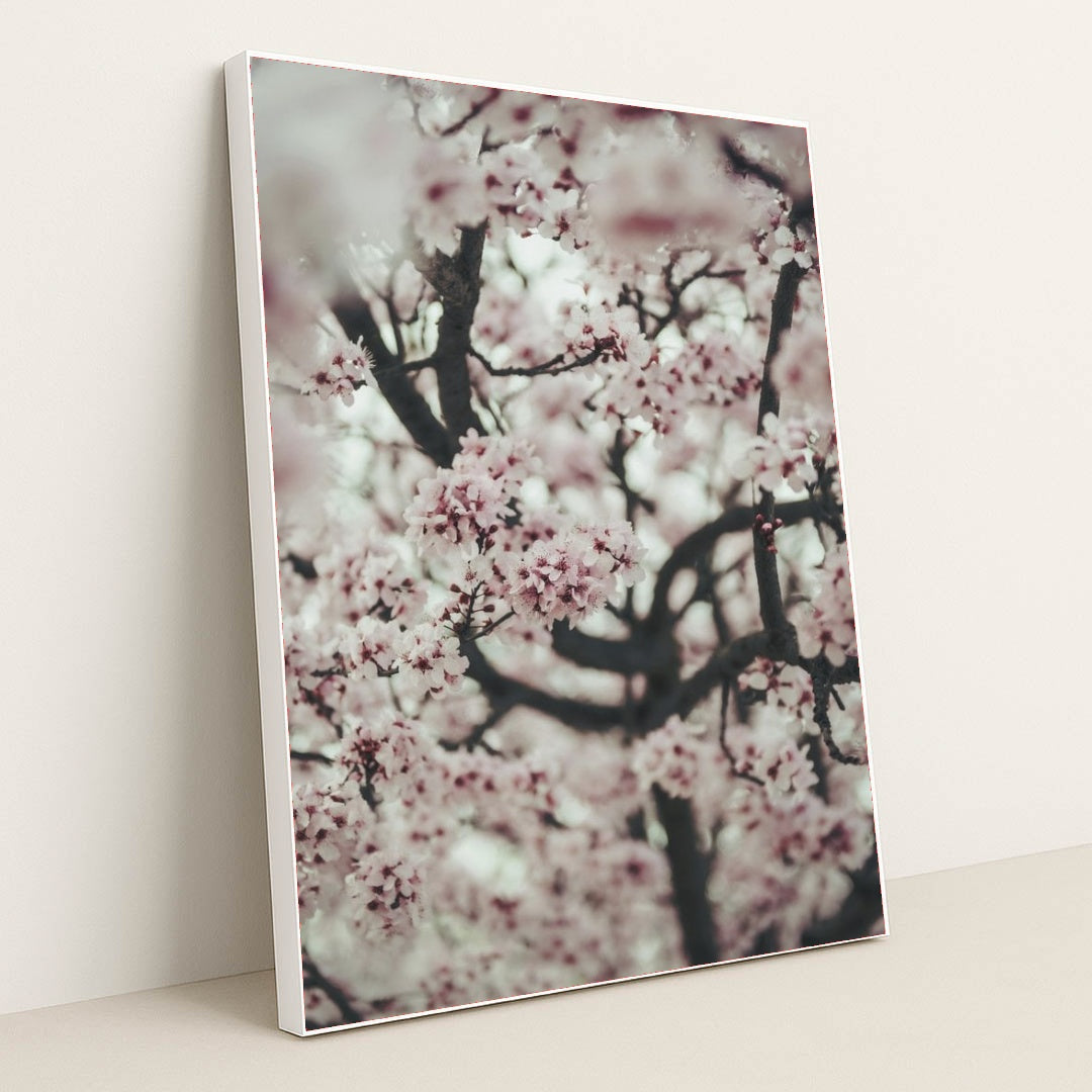 7090327486499 - Product Image