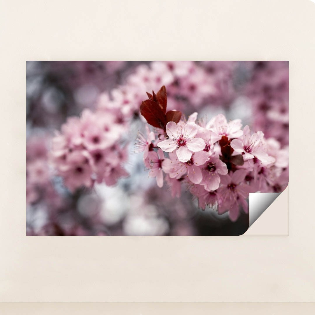 7090346033187 - Product Image