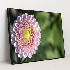 7090297634851 - Product Image