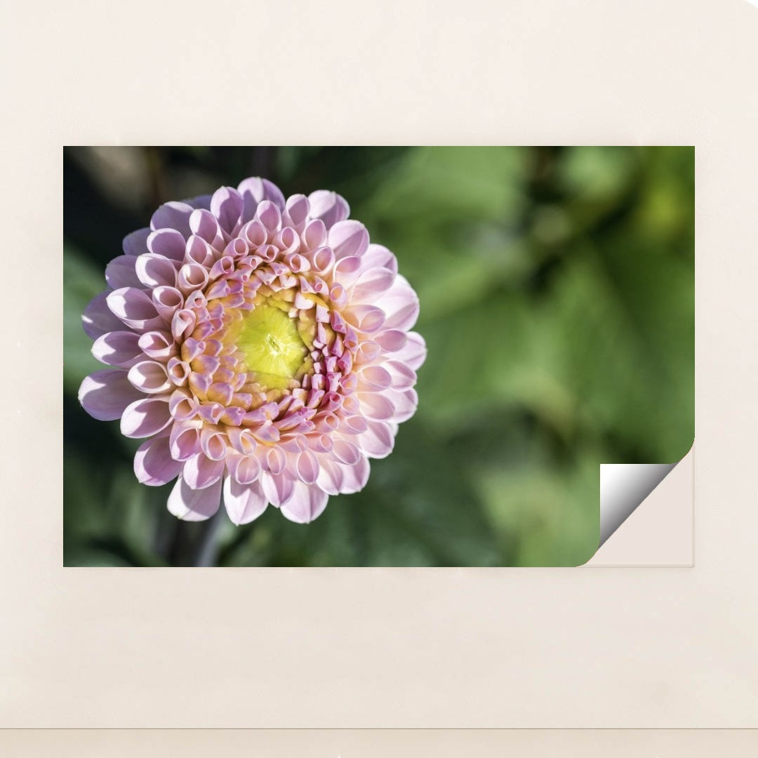 7090297634851 - Product Image