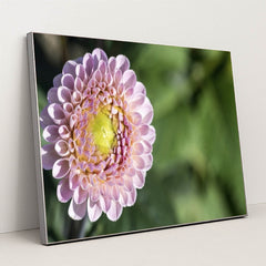 7090297634851 - Product Image