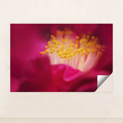 7090258542627 - Product Image