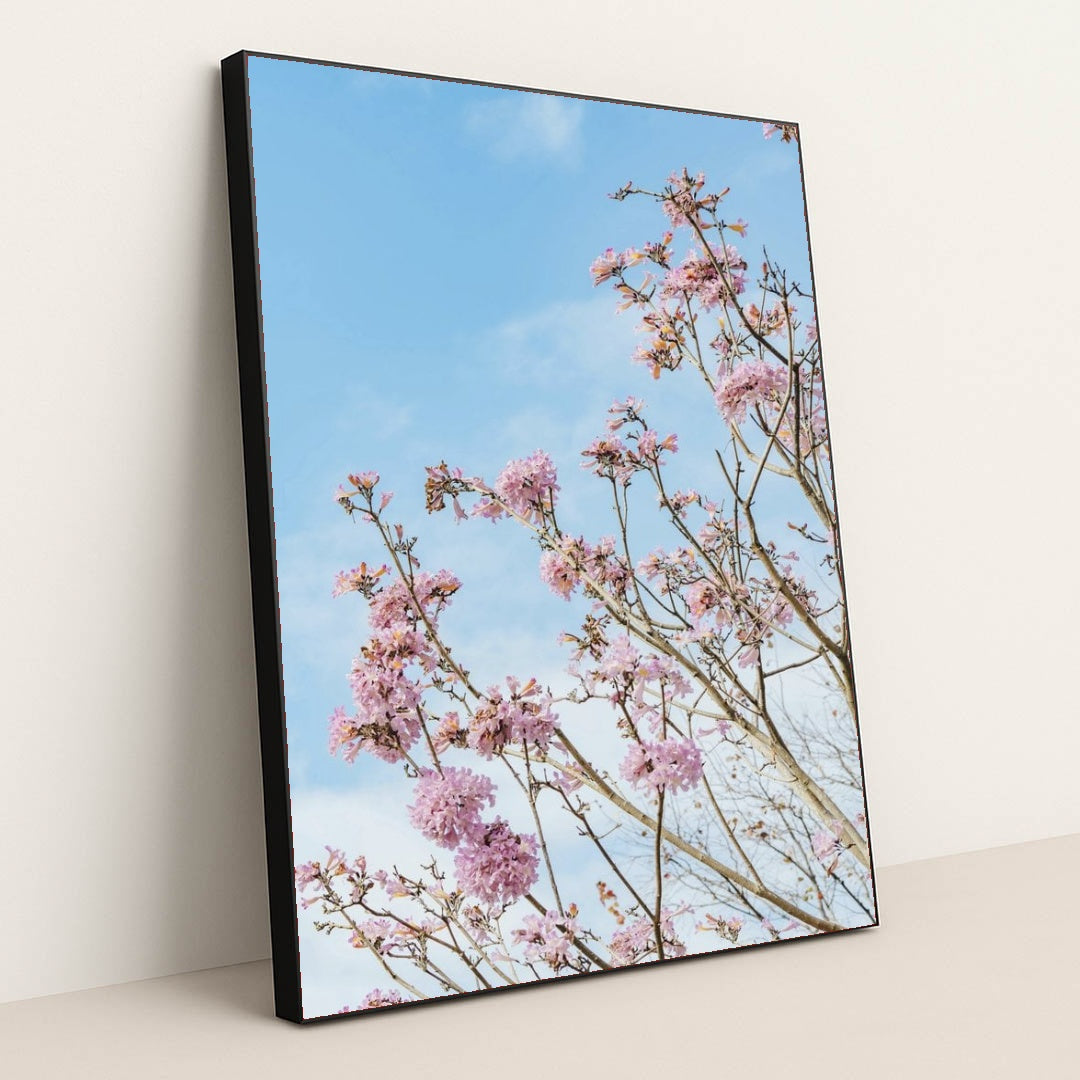 7090344656931 - Product Image