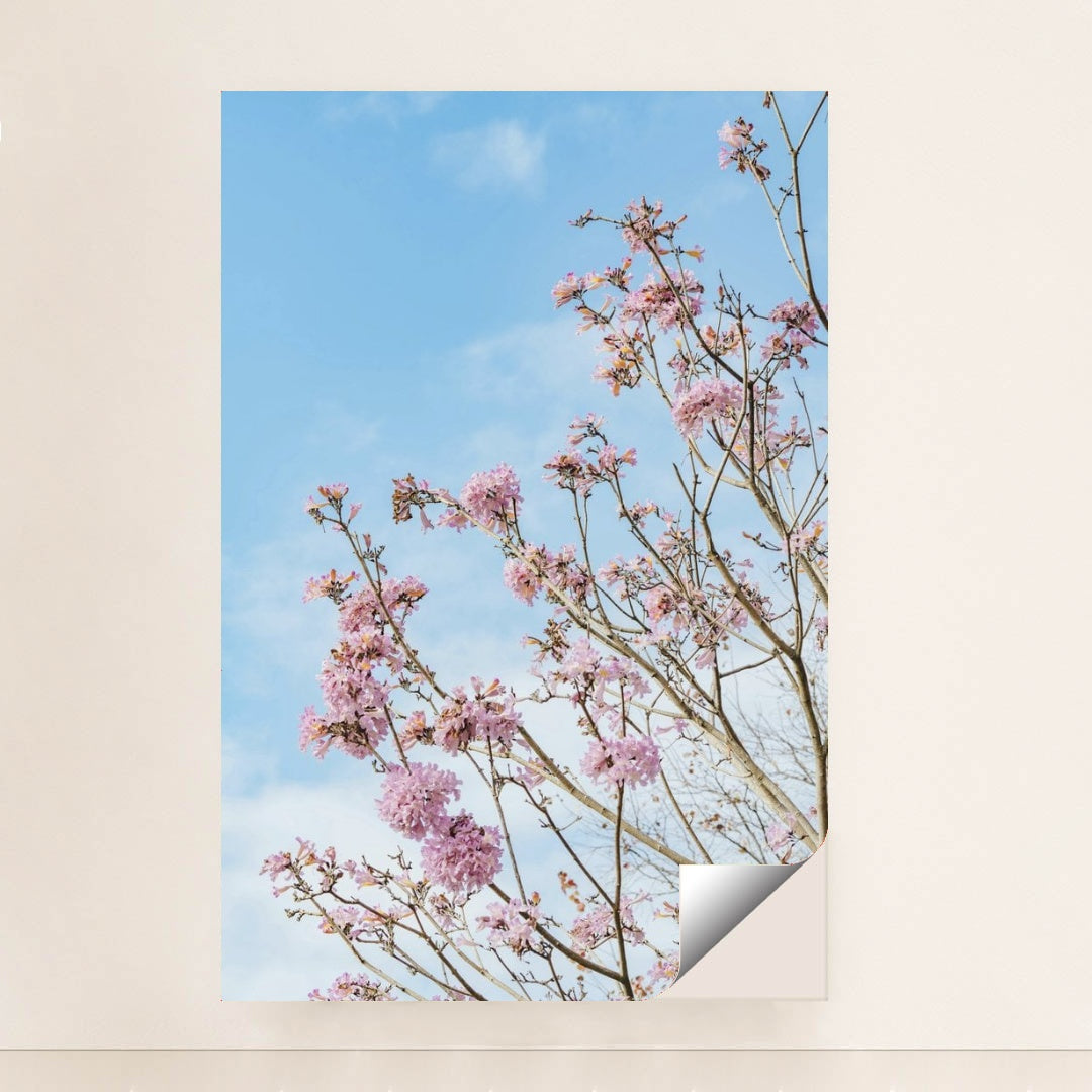 7090344656931 - Product Image