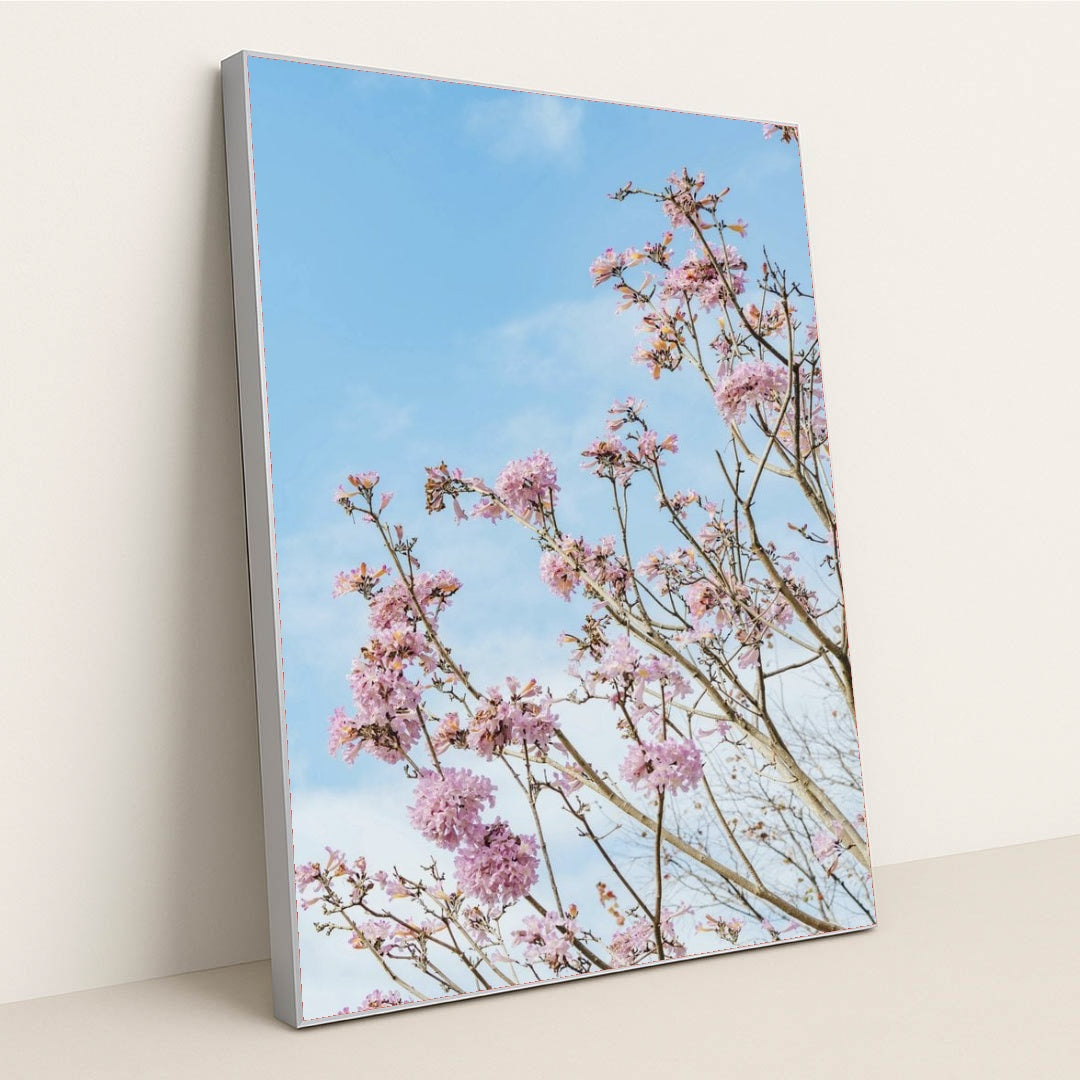 7090344656931 - Product Image