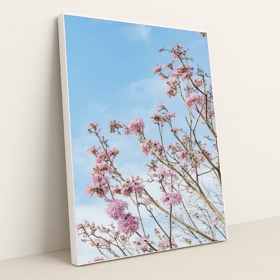 7090344656931 - Product Image