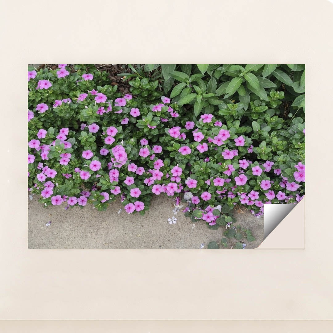 7090352029731 - Product Image