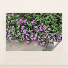 7090352029731 - Product Image