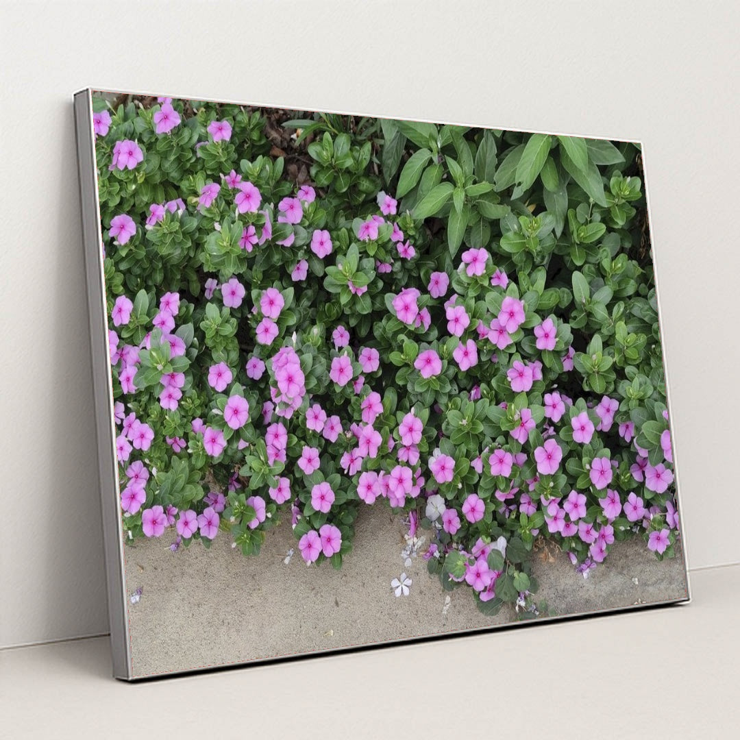 7090352029731 - Product Image