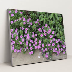 7090352029731 - Product Image