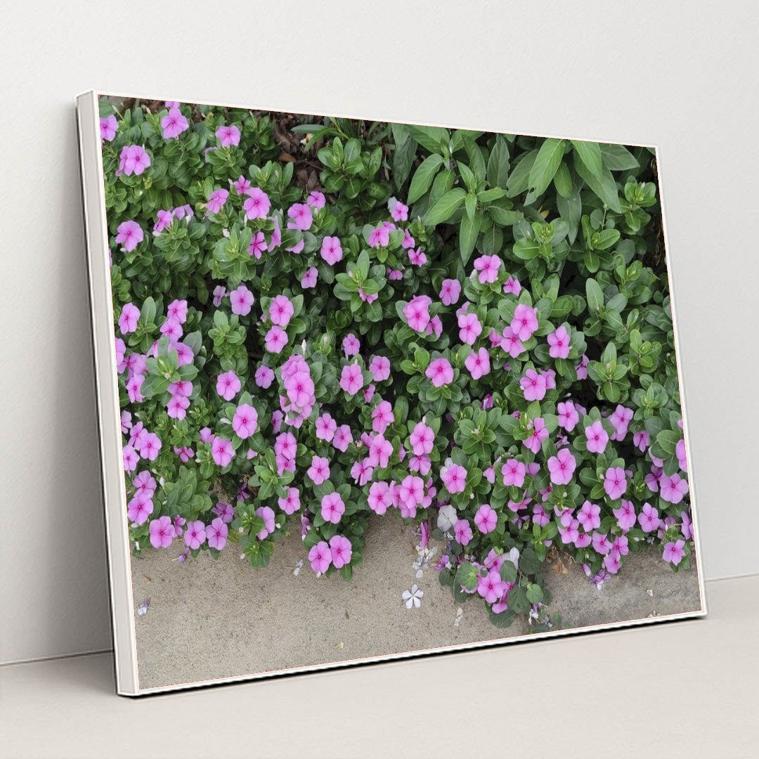 7090352029731 - Product Image