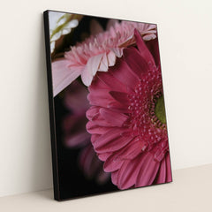 7090295308323 - Product Image