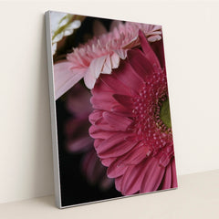 7090295308323 - Product Image