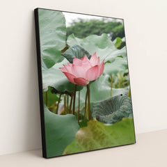 7090256511011 - Product Image