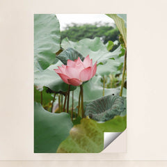 7090256511011 - Product Image