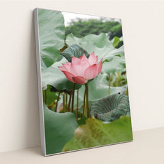 7090256511011 - Product Image